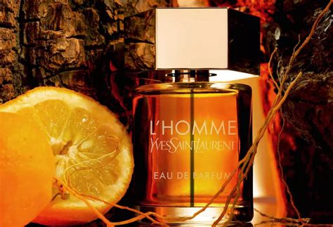 ysl colognes ranked|best smelling ysl cologne.